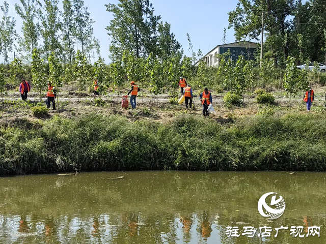 驛城區(qū)水屯鎮(zhèn)：開展河道清理整治 守護水清岸綠美景