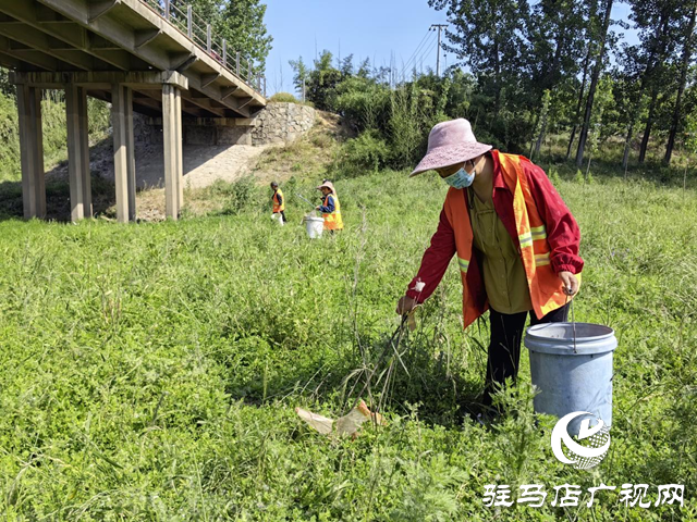 驛城區(qū)水屯鎮(zhèn)：開展河道清理整治 守護水清岸綠美景