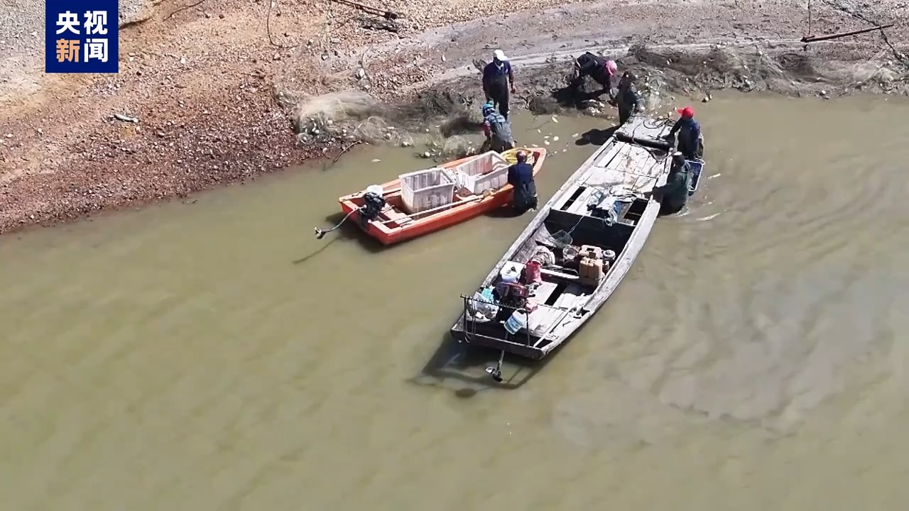 毀林種咖啡、江豚慘死 中央生態(tài)環(huán)保督察通報七地典型案例