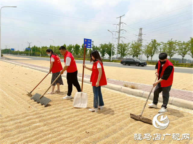 駐馬店移動暖心惠民舉措 繪出夏收好“豐”景