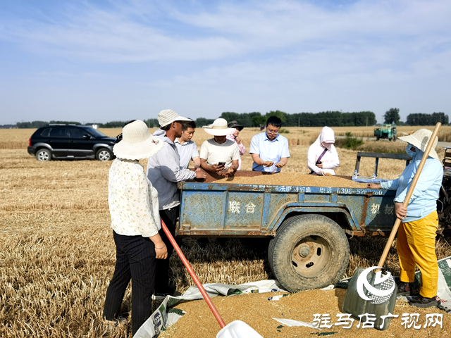 平輿縣陽城鎮(zhèn)：助力農(nóng)機辦實事 添足馬力助夏收