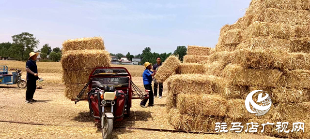 平輿縣李屯鎮(zhèn)：秸稈打捆離田 實現(xiàn)“變廢為寶”