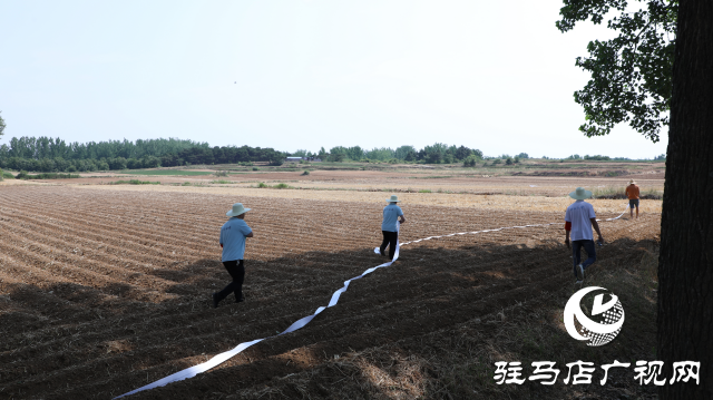 泌陽融媒：讓黨旗飄揚在抗旱一線