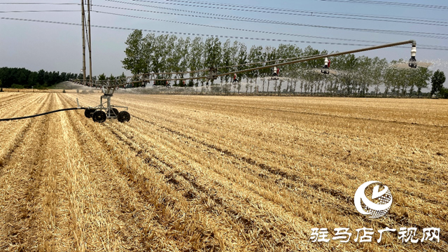 遂平縣和興鎮(zhèn)：人工智能進(jìn)田地 抗旱用上高科技