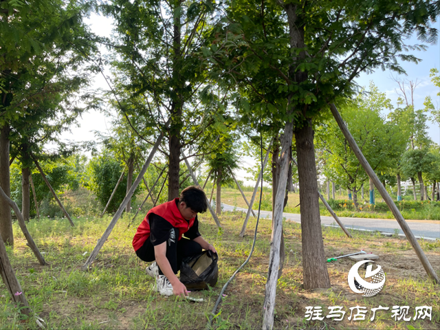 駐馬店職業(yè)技術(shù)學院組織志愿者走進人民公園清撿垃圾