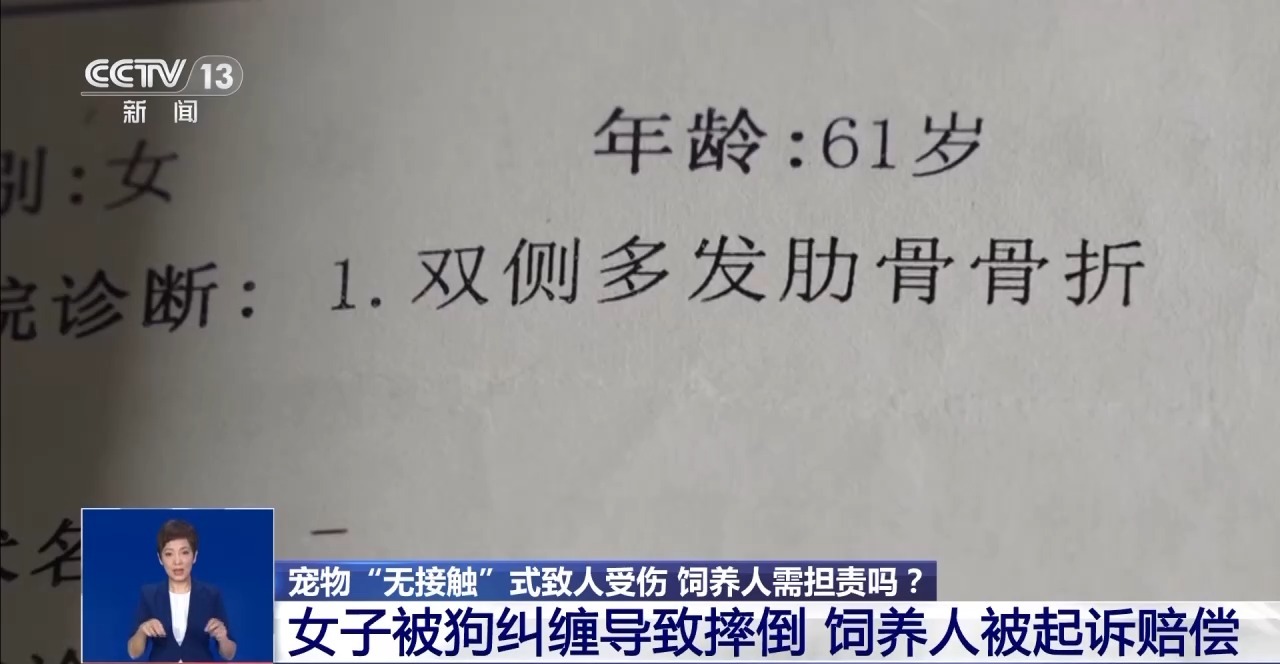 寵物“無接觸”致人受傷 寵物主人是否要擔責？一文了解→