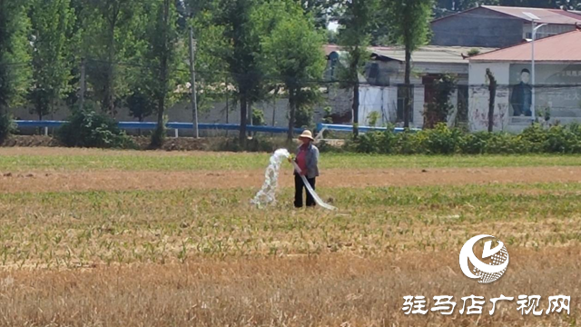 有望實施人工增雨作業(yè) 駐馬店干旱將得到緩解