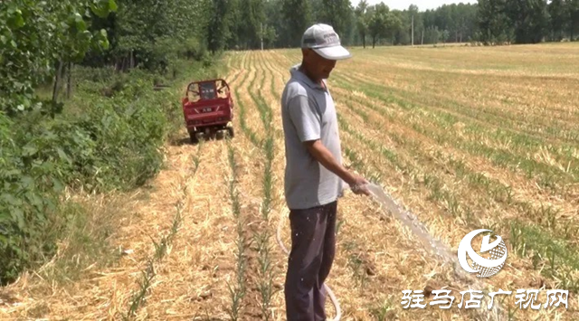 遂平縣：中小型水庫及時(shí)開閘放水保夏種