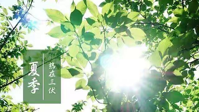 三伏天養(yǎng)生，中醫(yī)推薦這些簡單易行的保健方法，預(yù)防夏季常見病!