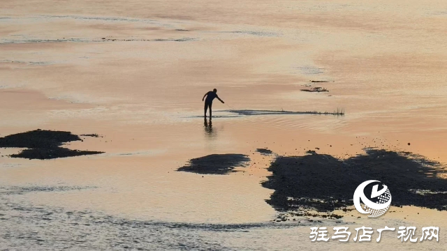 泌陽(yáng)南河公園：晚霞染金的詩(shī)意畫卷