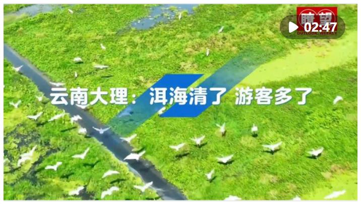 瞭望·治國理政紀事｜爭當生態(tài)文明建設排頭兵