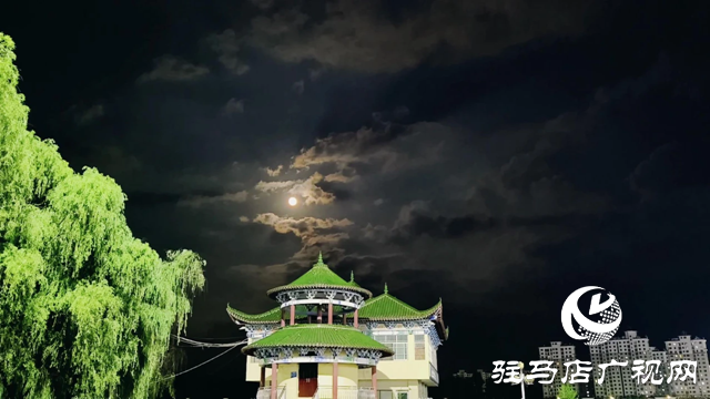 泌陽縣泌水河公園：璀璨燈光扮靚小城夜景