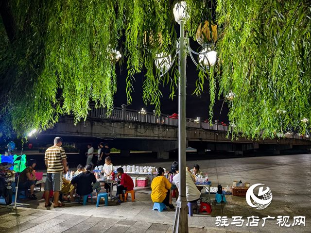 泌陽縣泌水河公園：璀璨燈光扮靚小城夜景