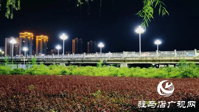 泌陽縣泌水河公園：璀璨燈光扮靚小城夜景