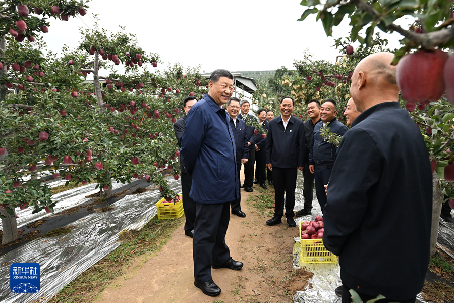 習(xí)近平在甘肅考察時強調(diào) 深化改革勇于創(chuàng)新苦干實干富民興隴 奮力譜寫中國式現(xiàn)代化甘肅篇章