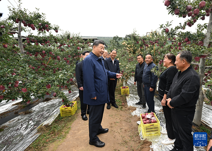 習(xí)近平在甘肅考察時強調(diào) 深化改革勇于創(chuàng)新苦干實干富民興隴 奮力譜寫中國式現(xiàn)代化甘肅篇章