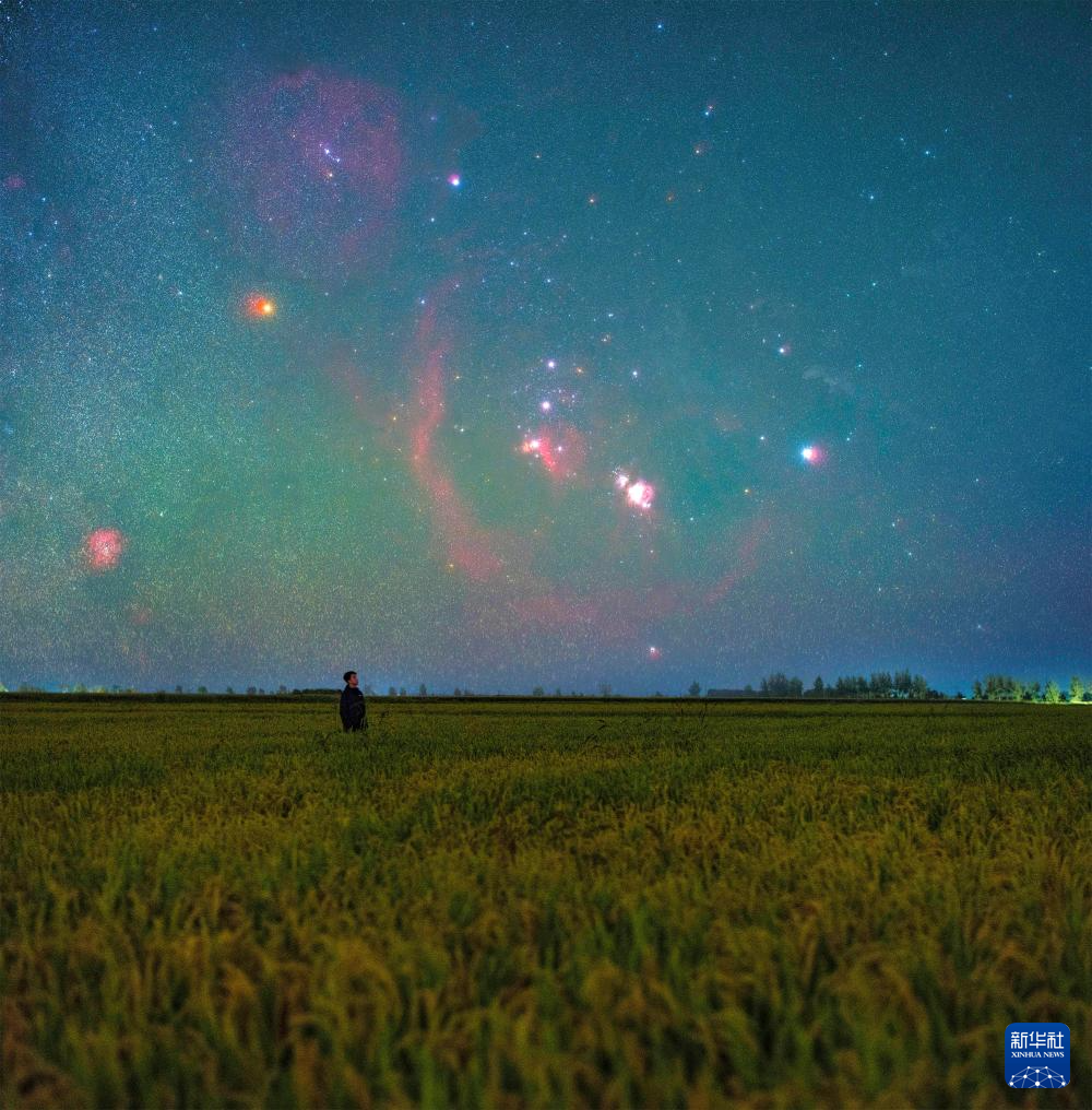 豐收田野“約會(huì)”浪漫星空