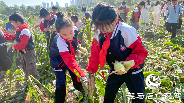 體驗豐收快樂 收獲成長果實