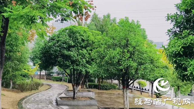 泌陽(yáng)縣雙龍公園：走進(jìn)雨中公園 感受濃郁秋意