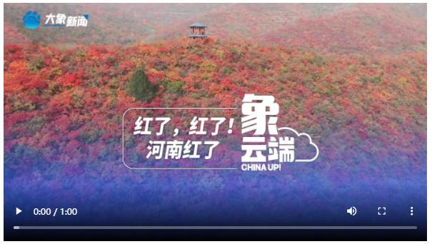 紅了，紅了！河南紅了|象云端