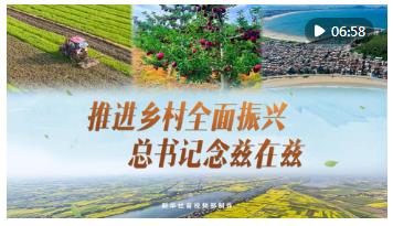 微視頻｜推進鄉(xiāng)村全面振興 總書記念茲在茲