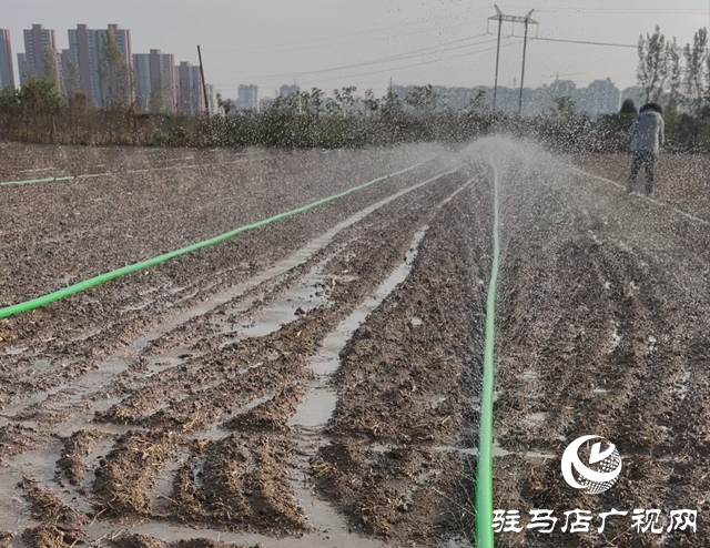 驛城區(qū)水屯鎮(zhèn)：灌飽“蒙頭水” 力促小麥出全苗