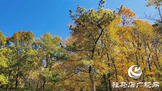 銅山湖之美：人在岸邊走 似在畫中游