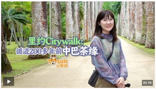 時(shí)政Vlog丨里約Citywalk：循跡200多年前中巴茶緣