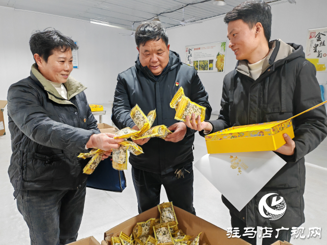 平輿縣廟灣鎮(zhèn)大楊村：金絲皇菊鋪就鄉(xiāng)村振興“致富路”