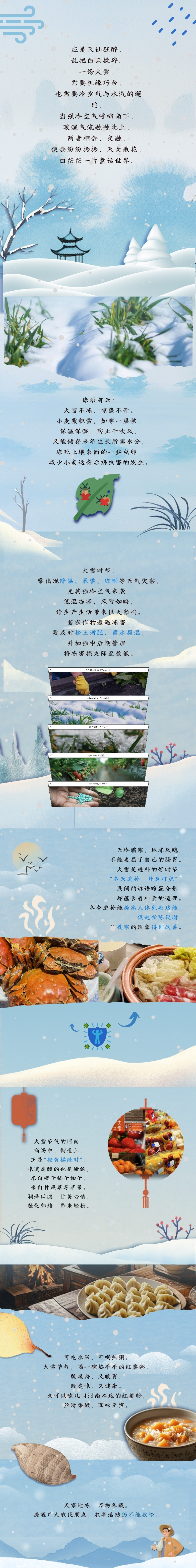 大雪至，寒冬始，萬物冬藏待春來