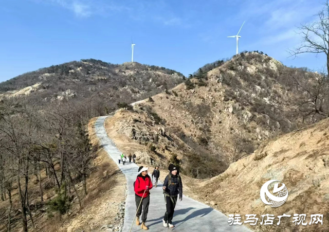 泌陽縣付莊鄉(xiāng)竹林村至白云山風(fēng)電路連接線打通