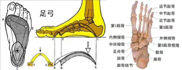 雪地靴又上熱搜！經(jīng)常穿真的很“傷腳”……醫(yī)生緊急提醒