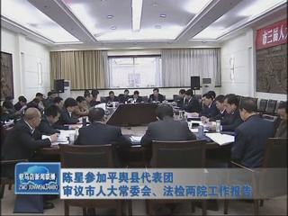 陳星參加平輿代表團(tuán)審議市人大常委會(huì)、法檢兩院工作報(bào)