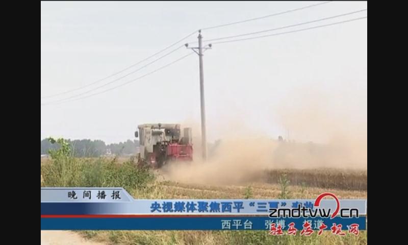 央視媒體聚焦西平“三夏”麥收